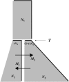 F<sc>igure</sc> 2.—