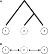 F<sc>igure</sc> 5.—