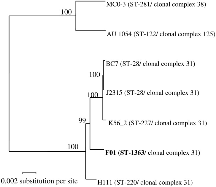 FIGURE 1