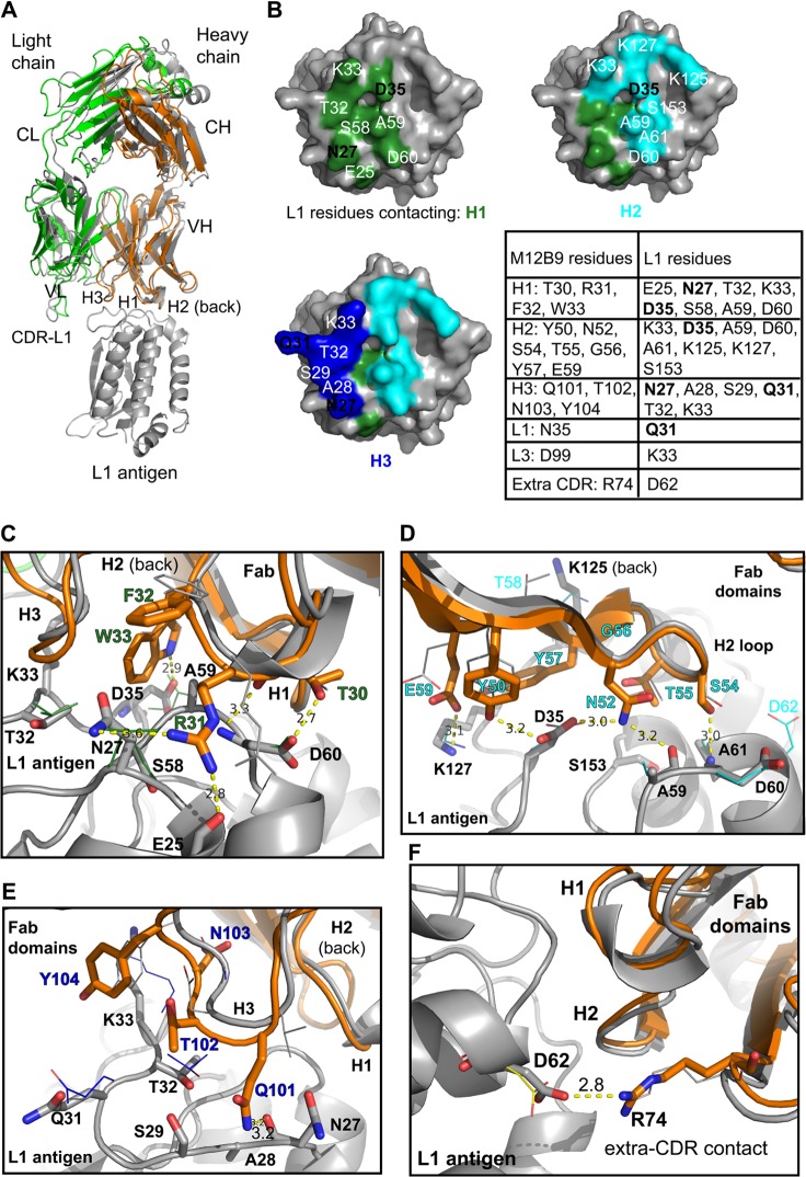 FIG 8