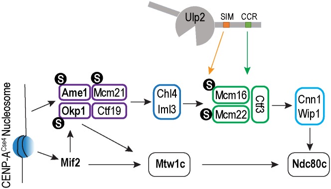 Fig 8