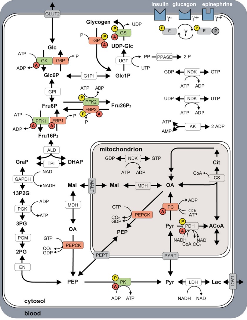 FIGURE 1.