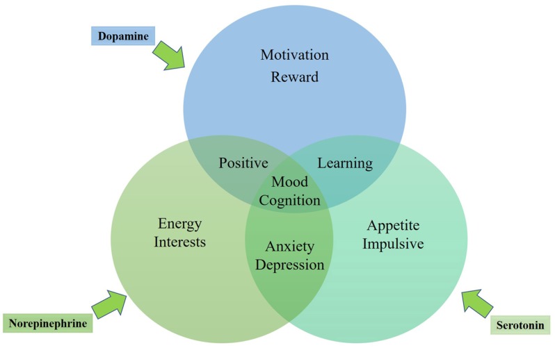 FIGURE 1