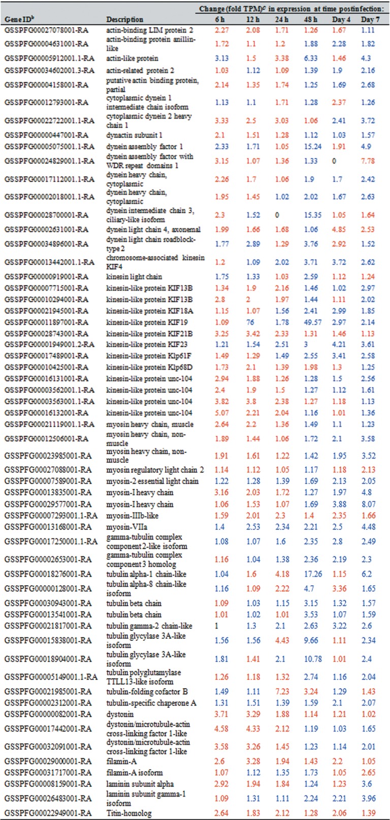 graphic file with name JVI.01985-19-t0002.jpg