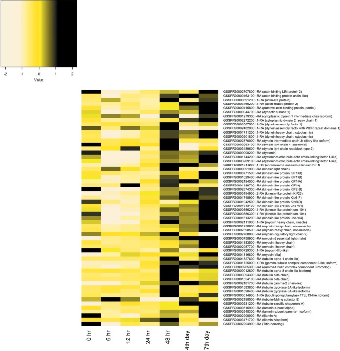 FIG 2