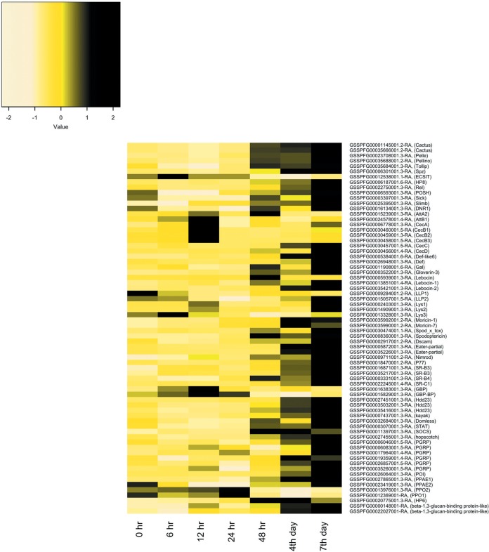 FIG 3