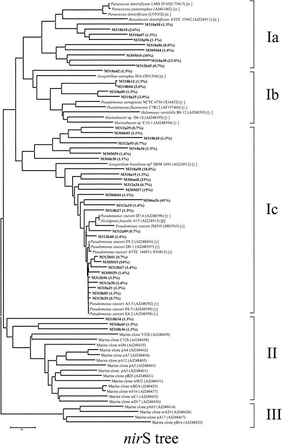 FIG.6.