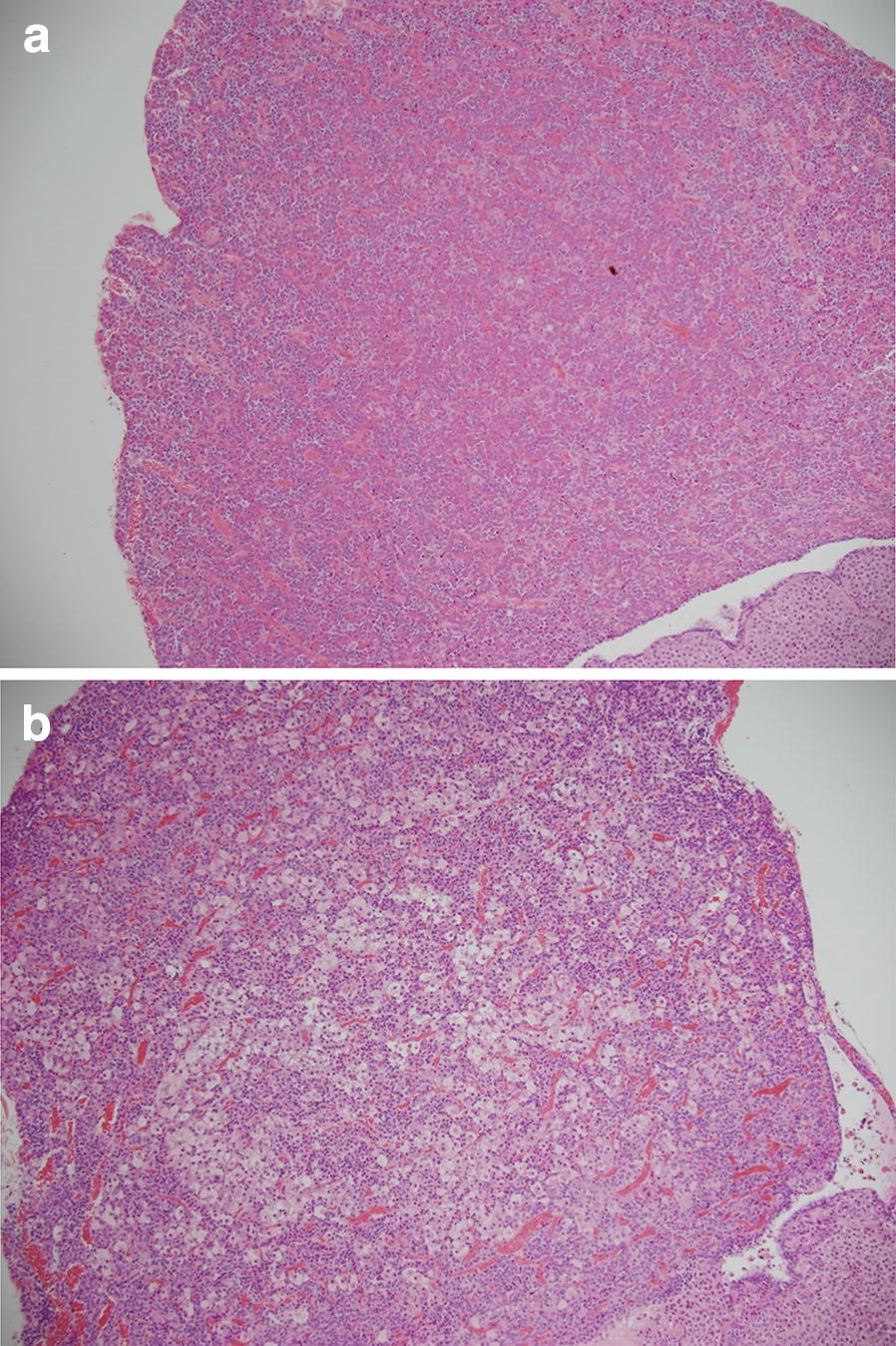 Fig. 3