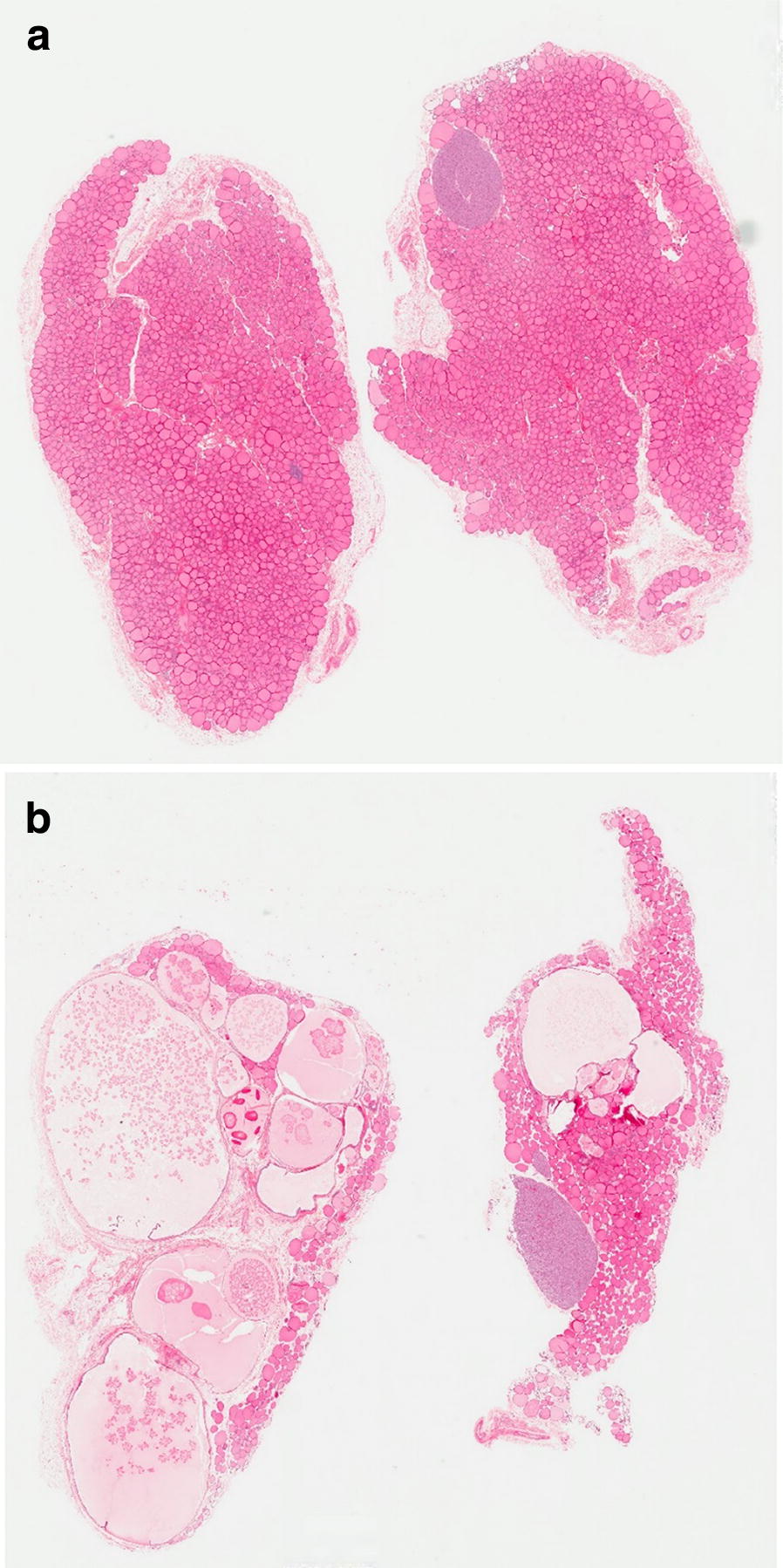 Fig. 4