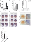 Figure 1—figure supplement 1.
