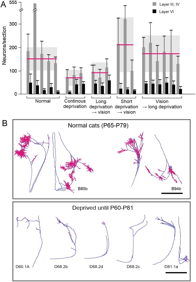 Fig. 10