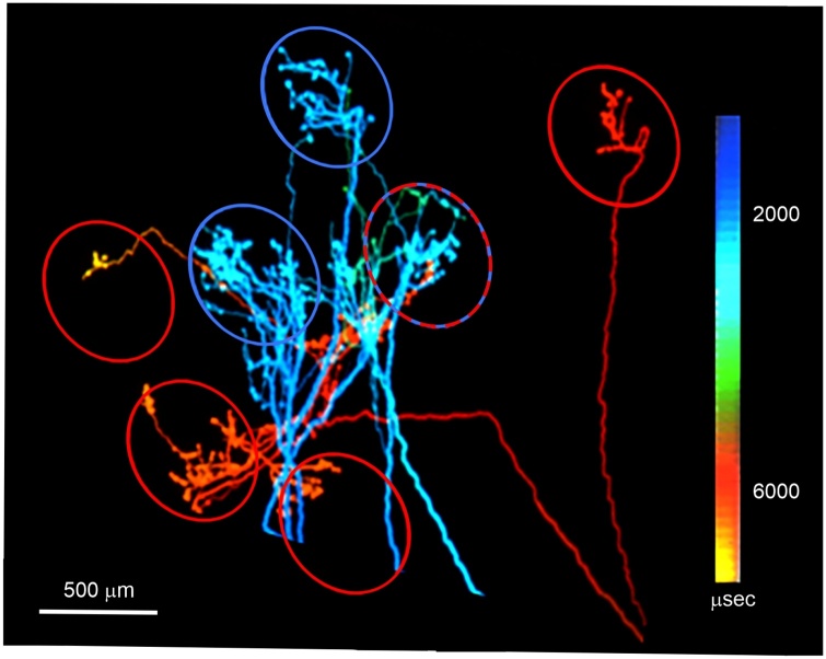 Fig. 4