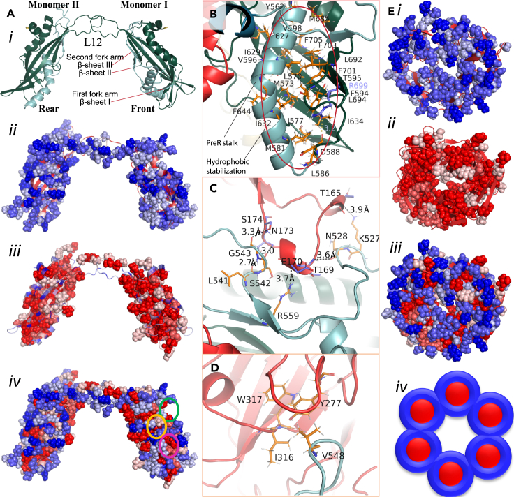 Figure 4