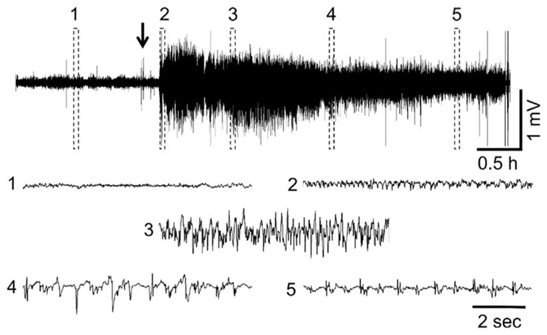 Fig. 4