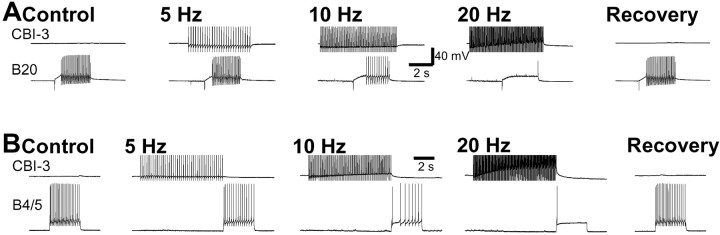 Fig. 14.