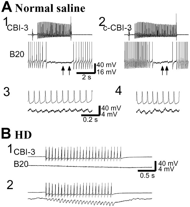 Fig. 13.