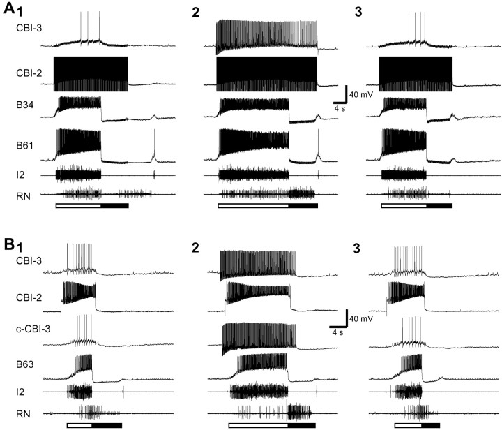 Fig. 12.