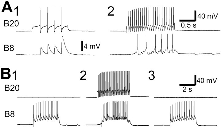 Fig. 8.