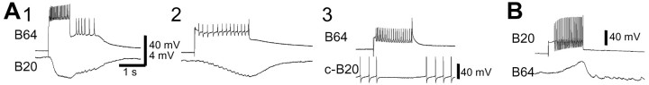 Fig. 7.