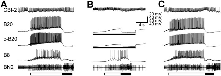 Fig. 3.