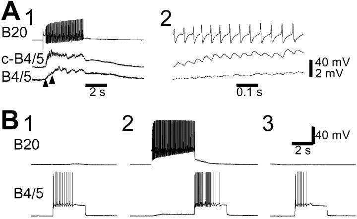 Fig. 10.