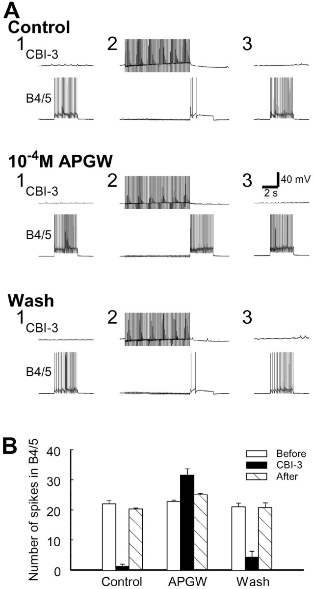 Fig. 16.