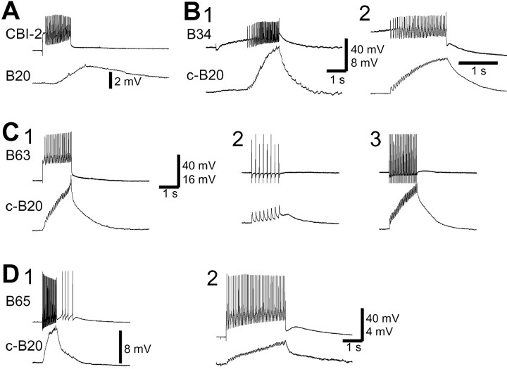 Fig. 5.