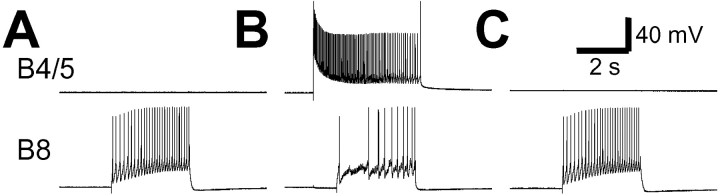 Fig. 9.