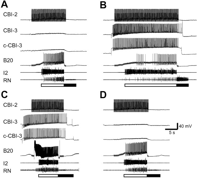 Fig. 11.