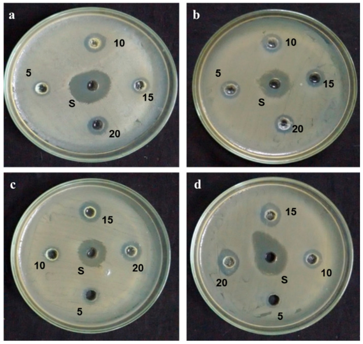 Figure 6