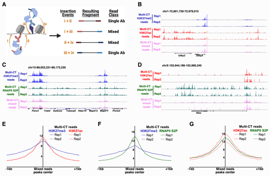 Figure 3: