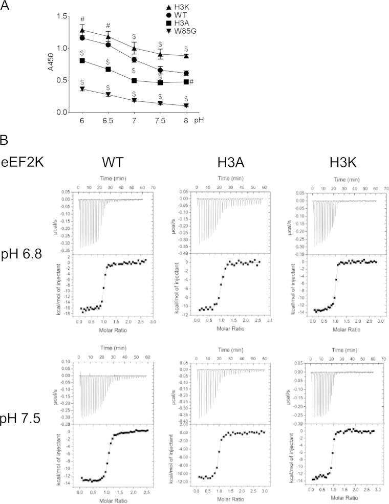 FIG 6