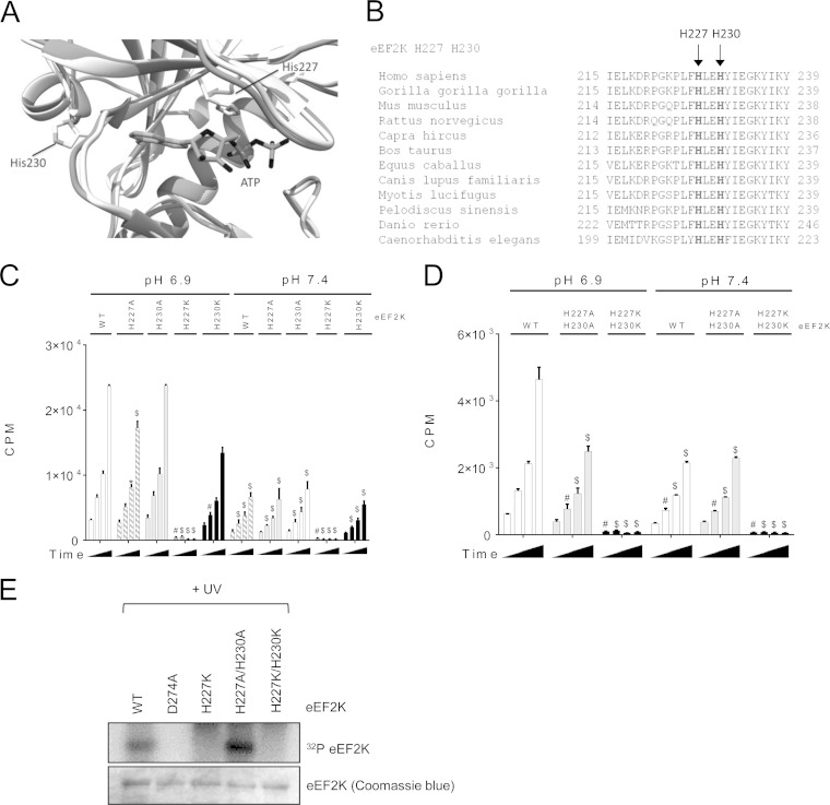 FIG 7