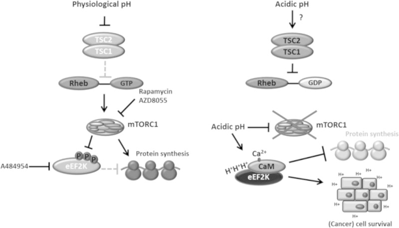 FIG 13