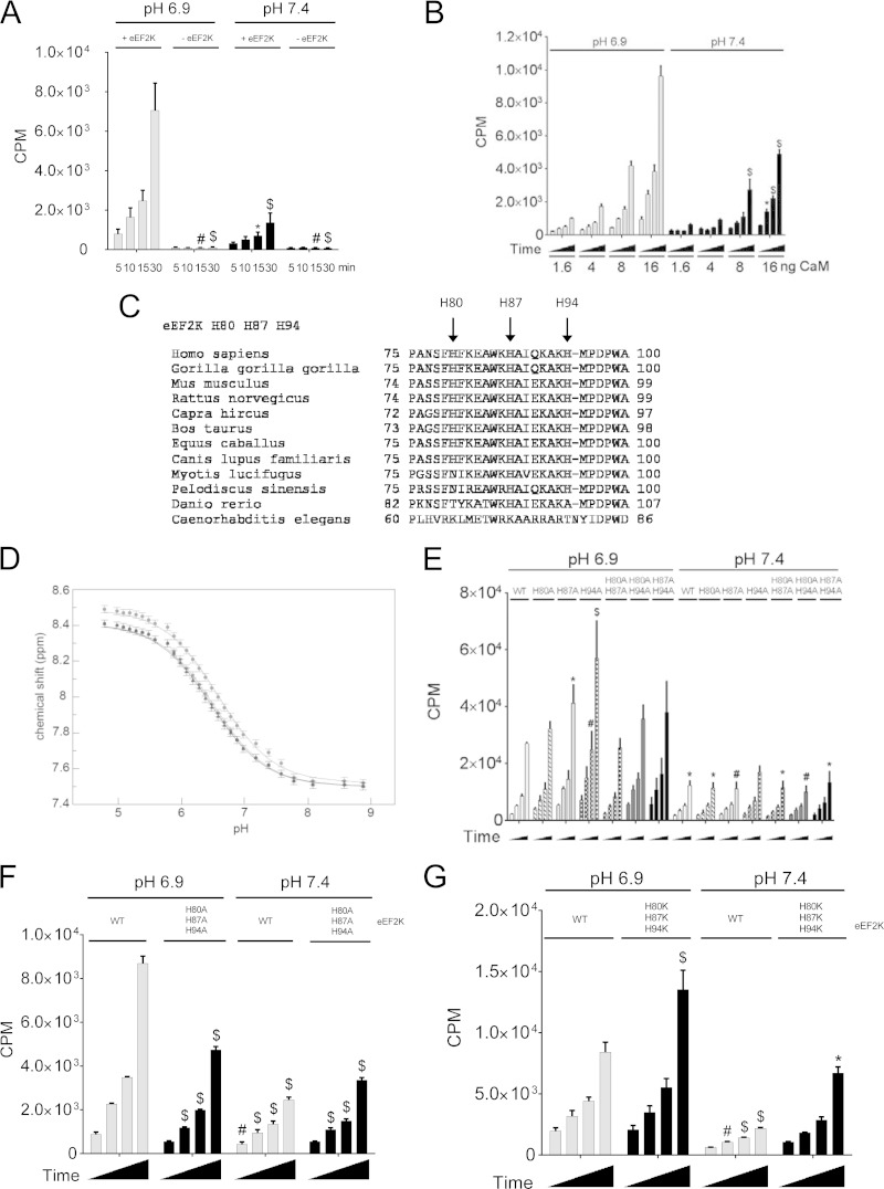 FIG 5