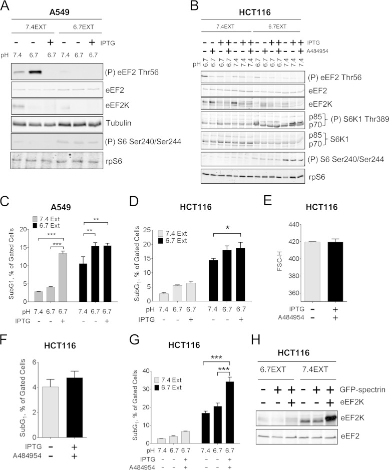 FIG 11