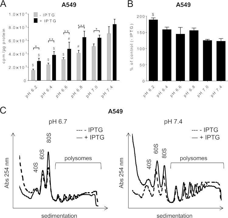 FIG 12