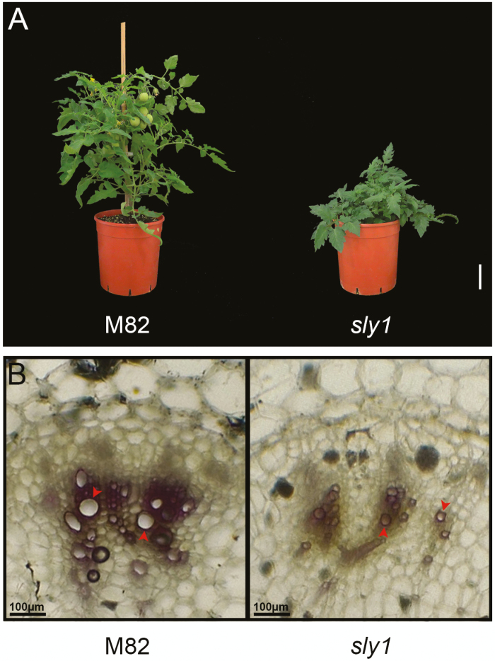 Figure 6.