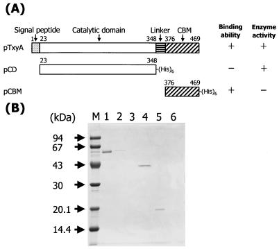 FIG. 3.