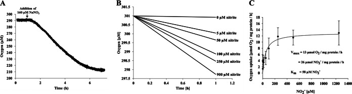 FIG 2