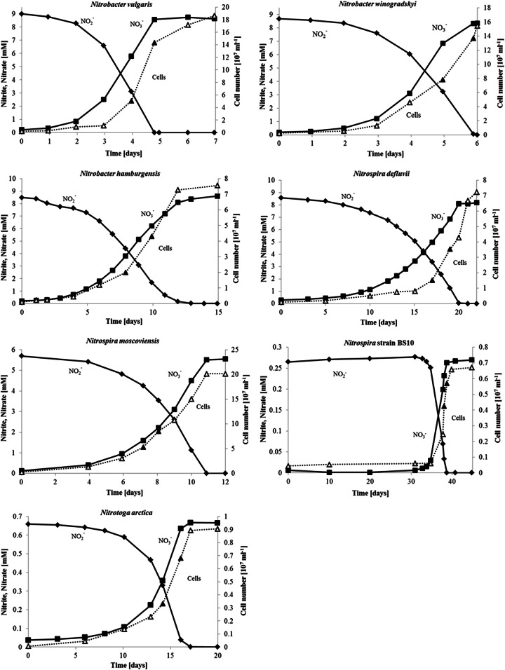 FIG 1