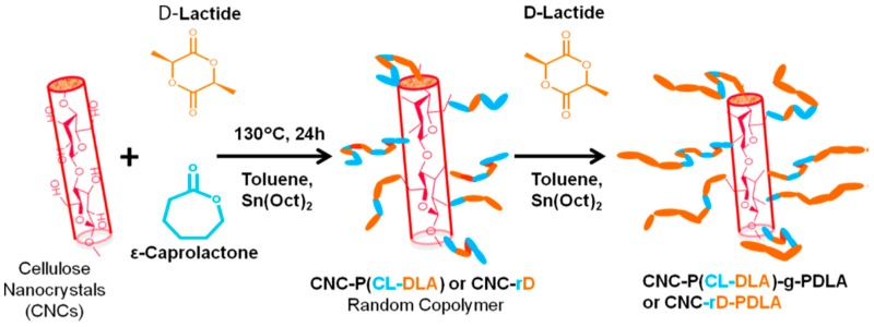 Scheme 8