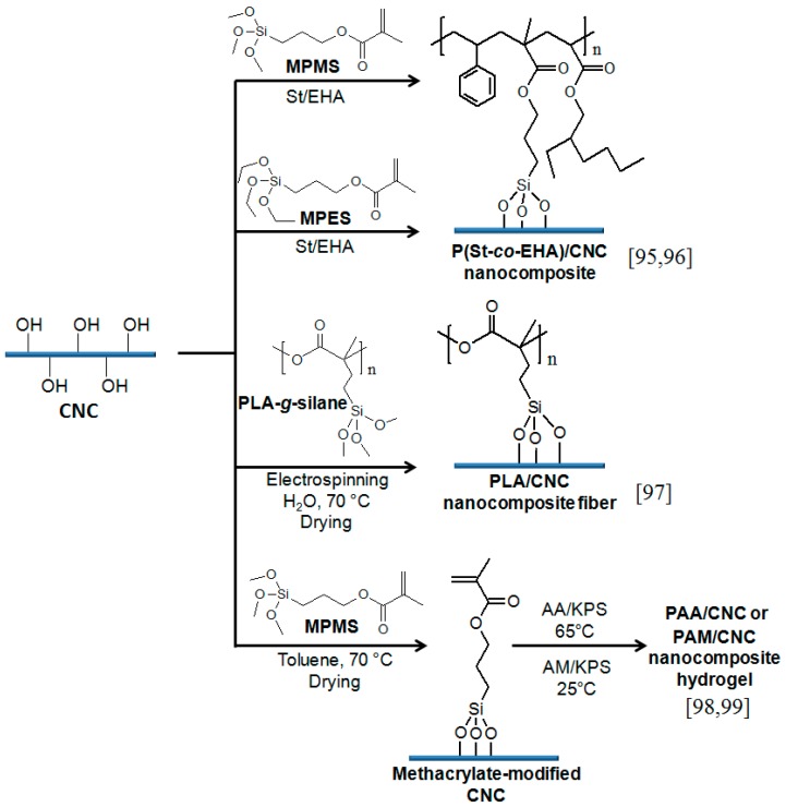 Scheme 5