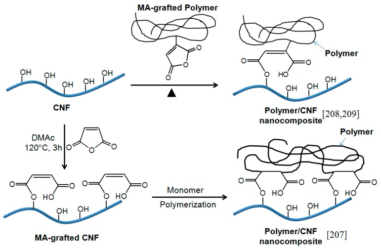 Scheme 13