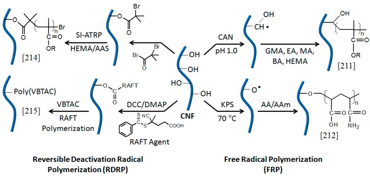 Scheme 14