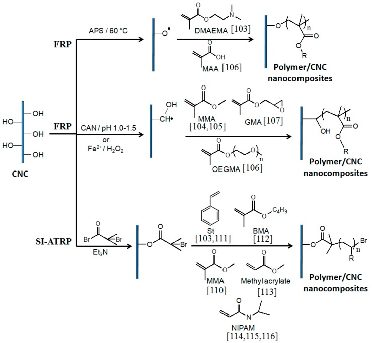 Scheme 7