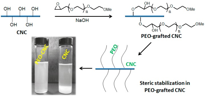 Scheme 4