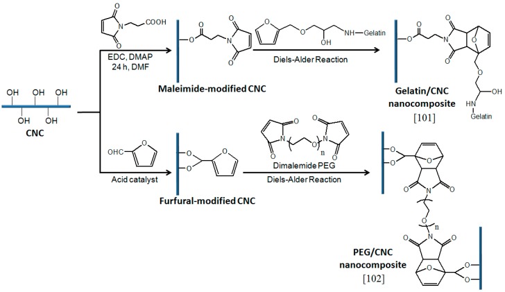 Scheme 6