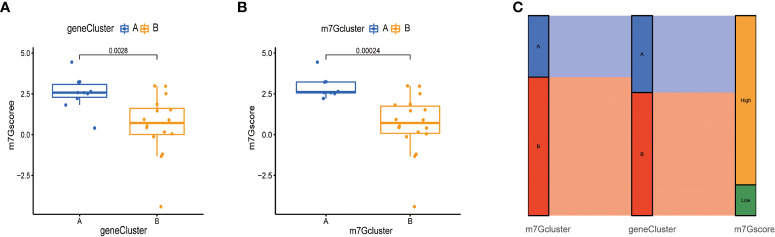 Figure 7