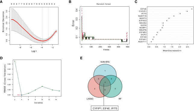 Figure 2